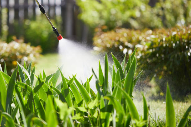 24/7 Emergency Cockroach Control experts in Parker, SC